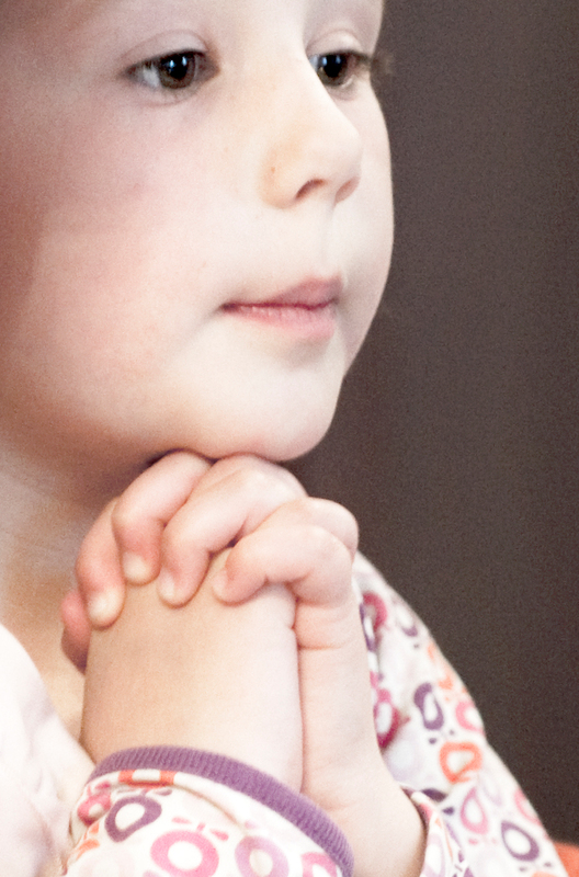 Barn der beder