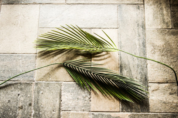 Billede af to palmeblade på stengulv