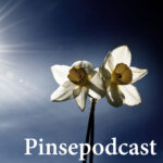 Pinsepodcast